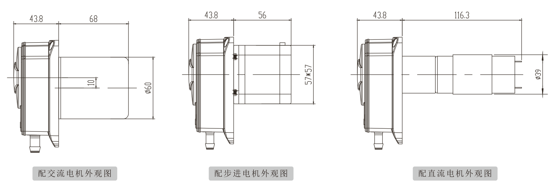 K25黄瓜视频软件下载